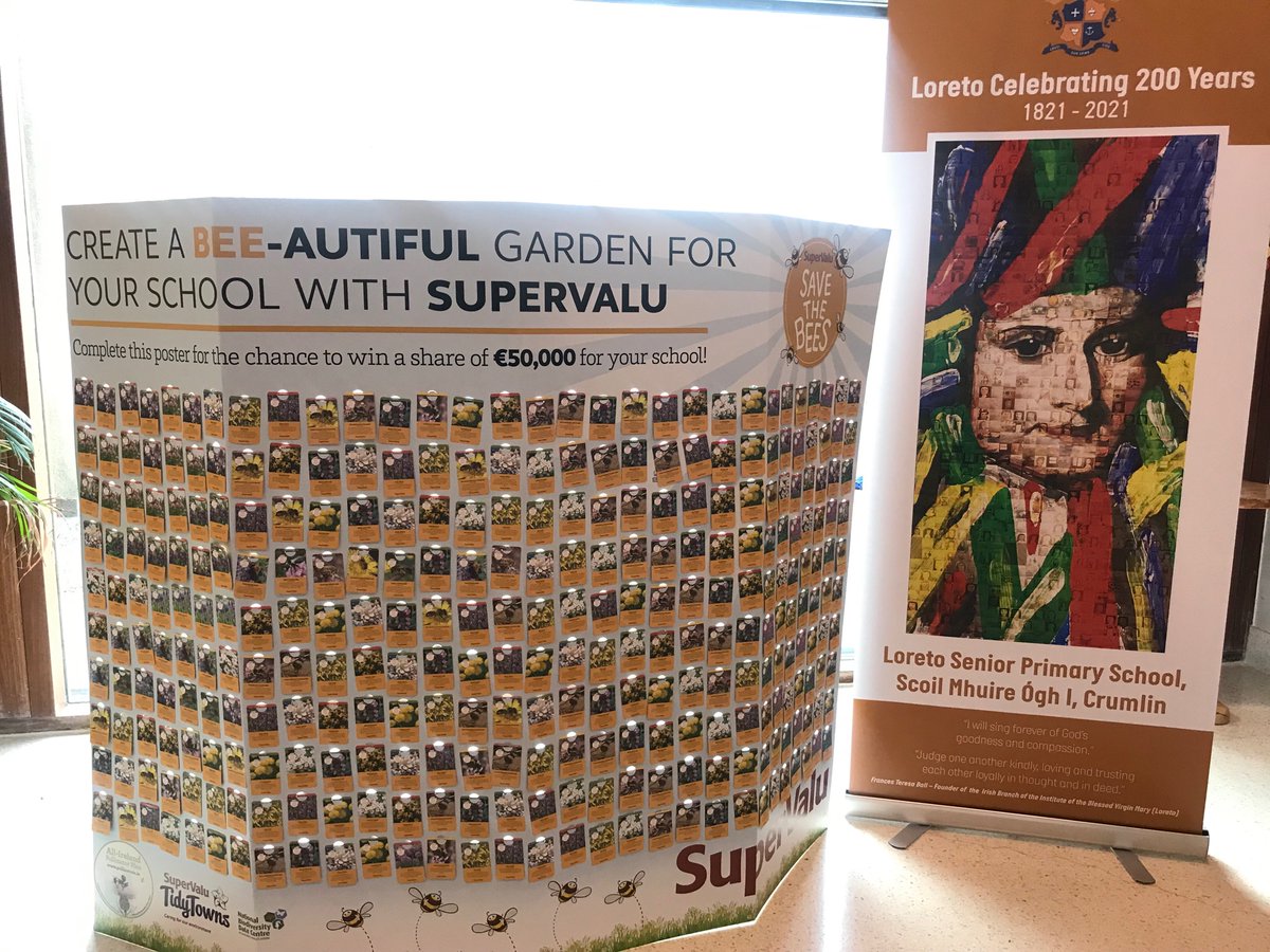 LoretoSPCrumlin's tweet photo. Helping to save the bees ๐ @SuperValuIRL #savethebees #wildlife #bee-autiful #garden #supervalu #biodiversity #pollinatorplan https://t.co/9xjqF7mull