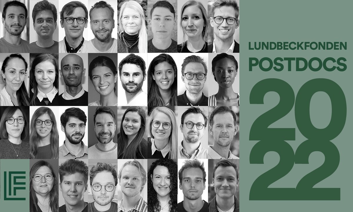 lundbeckfonden's tweet photo. The Lundbeck Foundation awards grant worth DKK 70 mill. to postdoc projects.
The programme is an important part of our work of making DK one of the world’s leading neuroscience nations.
Congratulations to the 31 talented LF Postdocs!
#dkforsk #postdoc
Read:https://t.co/k7nSKWXrJ9 https://t.co/45iUnB2Fkx