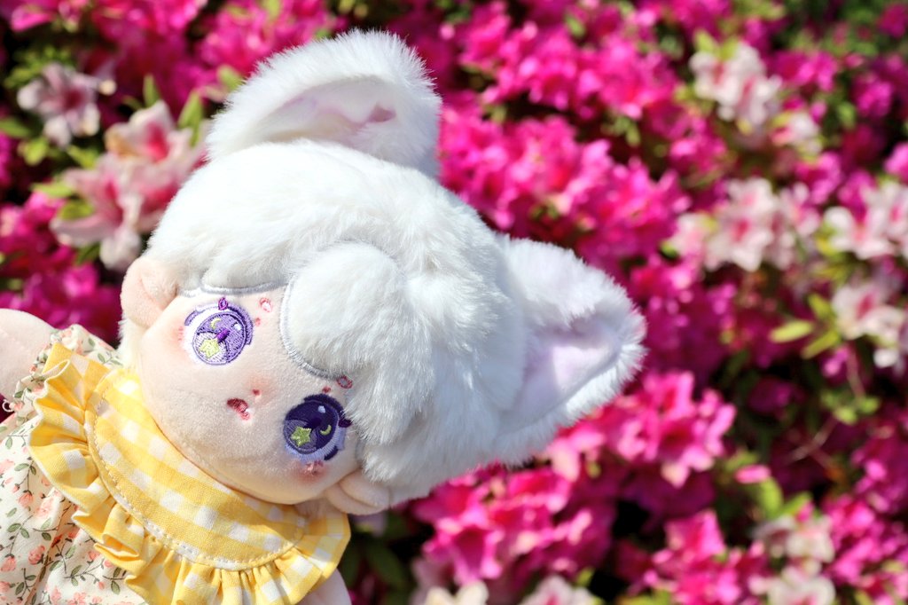 pony_fancy's tweet photo. *´꒳`ฅmiucas🪄⌒♡。.
ロンパースとスタイで
赤ちゃんmiucasちゃん👶🏻❤
#棉花娃娃 #棉花娃 #20cm娃
#無属性ぬい #ぬい服 #ぬい撮り
#20cmdoll #miucas https://t.co/y4pr7EhMzx
