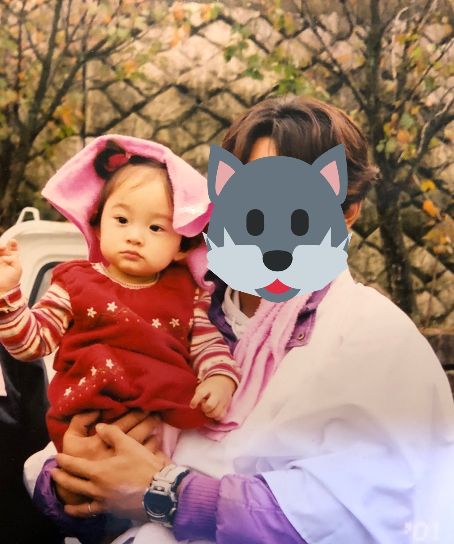 堤 雪菜 こどもの日 パパに抱っこされている私です T Co S2bkgd2krj Twitter
