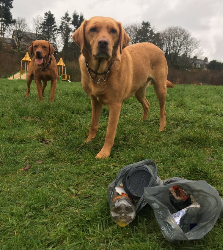 If you’re walking your dog to the polling station, join us by picking up a couple of pieces of #litter as you go. 

It only takes a minute to make a difference. 22,000 dog owners &amp; counting….

#pawsonplastic #dogsatpollingstations