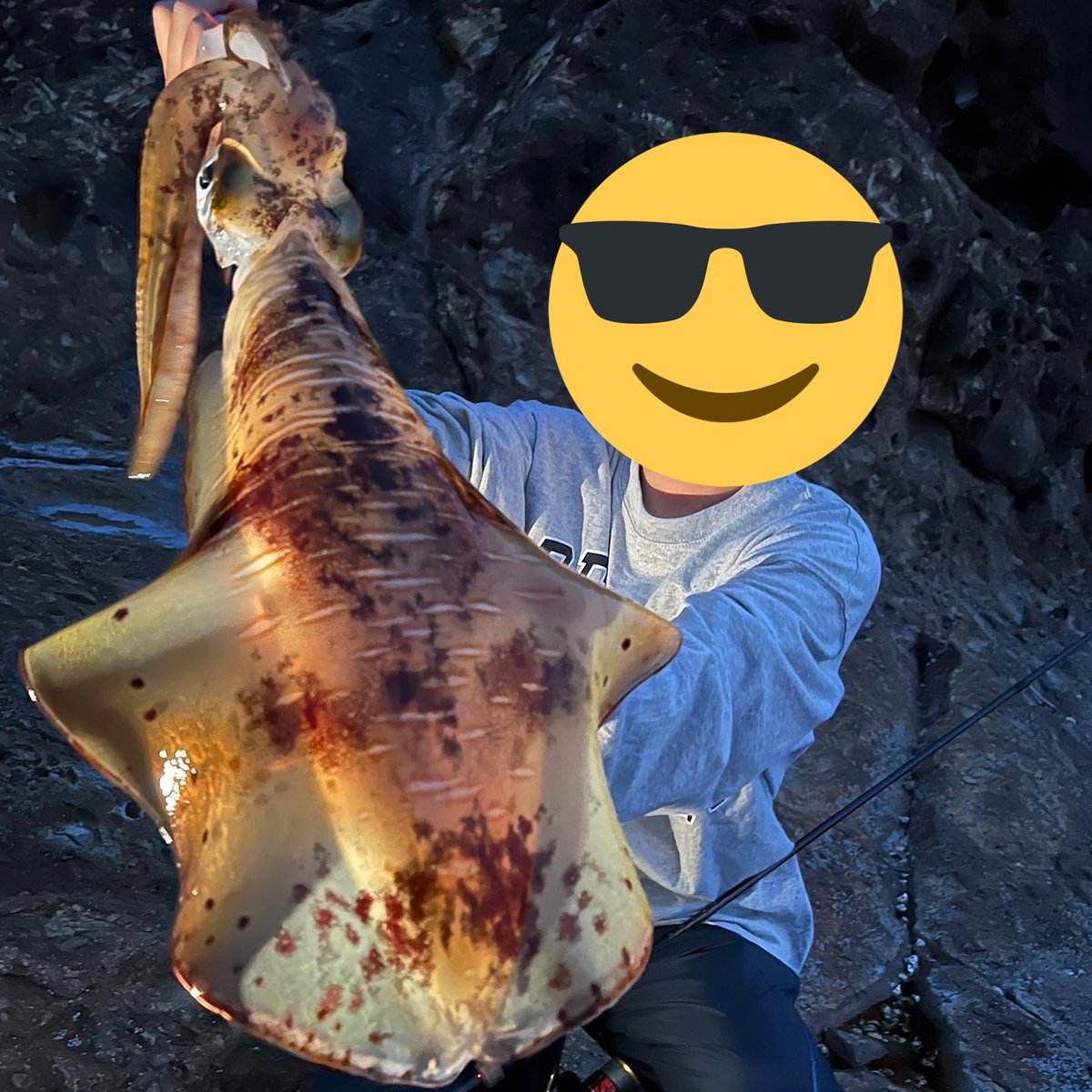 s52414308's tweet photo. 久しぶりのエギング春イカサイズ来てくれて満足の釣行でした🥰
#エギング https://t.co/JYftgH7ZvD