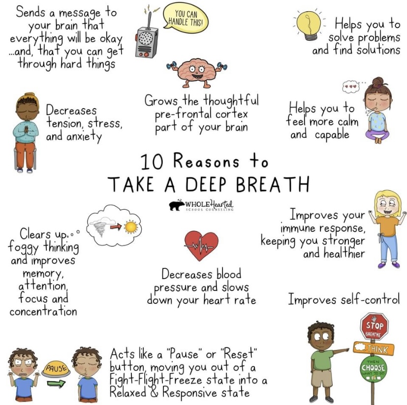 Pentreath Ltd tweet media