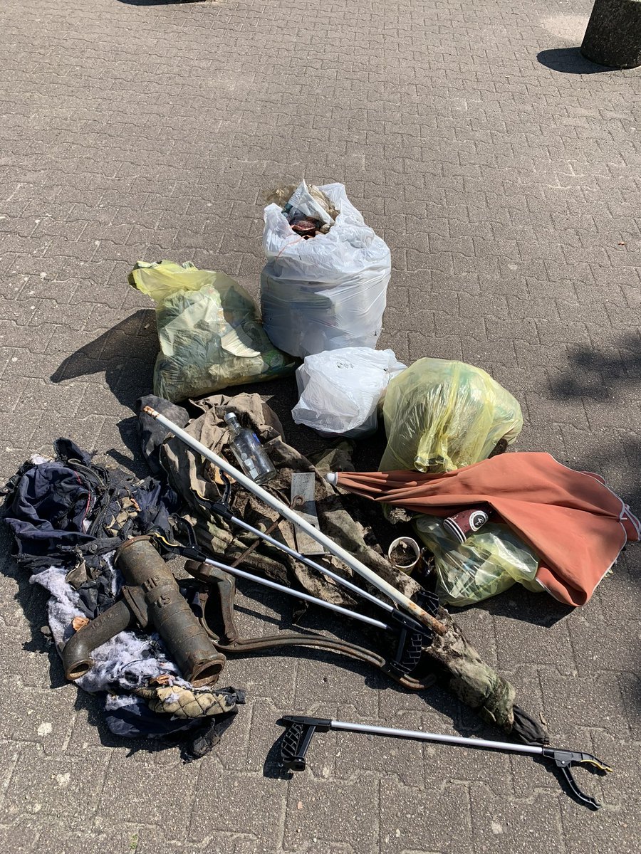 Thursday forest cleanup crew 🌳💚