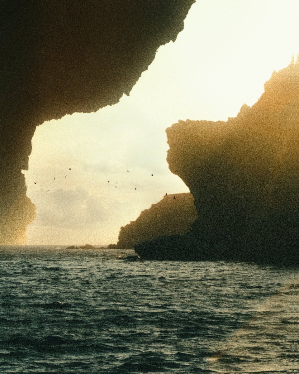 Giannis_Ryan's tweet photo. The free mind can travel to the wildest places. With a healthy dose of madness 😉.

Composite creation based on film shots taken with superia 200
Original shots by: @GreyStelios 

#photooftheday #photoshop #photograghy #fujifilm #PHOTOS https://t.co/ysEHIh9coh