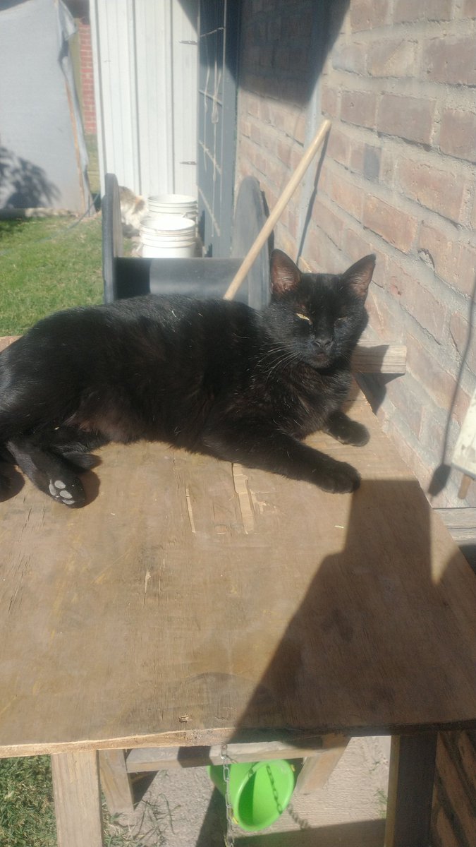 <a href="/whatkolya/">thatFestiveK🌟lya</a> Got me worried there... Be safe dude