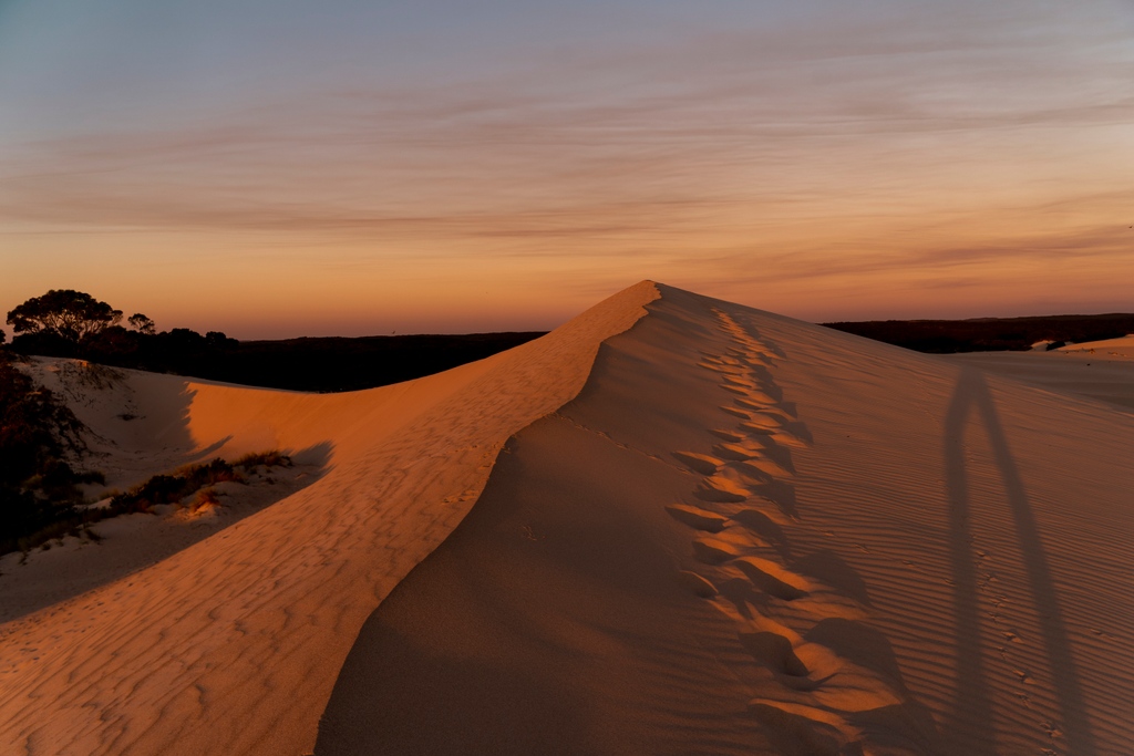nathsway's tweet photo. Welcome to where the dunes meet the sea 🌊 This part of Kangaroo Island was given it’s name due to the fact that it boasts an incredible dune system covering more than two square kilometres 🏝️ Make sure you go tobogganing here 🏄
-
#kangarooisland #littlesahara #vivonnebay https://t.co/XNIGvAbTyq