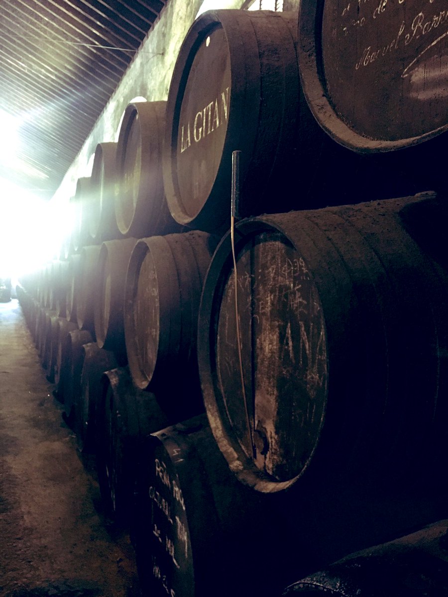 Bodegas_Terán_Tresgallo tweet media