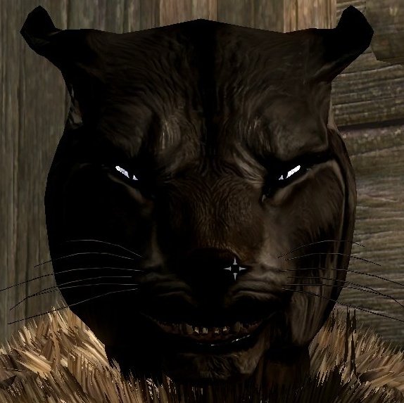 KazraTweets's tweet photo. When someone becomes a copy "cat" https://t.co/Yo4iSZ4V7s