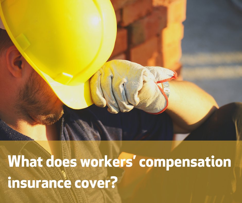 From slips and trips to stress and illness, workers' comp makes sure your staff are taken care of should the unexpected happen. Let us help you get the right insurance solutions: bit.ly/2YLo7bi 

#managedinsurancesolutions #mis #workerscompensation #businessinsurance