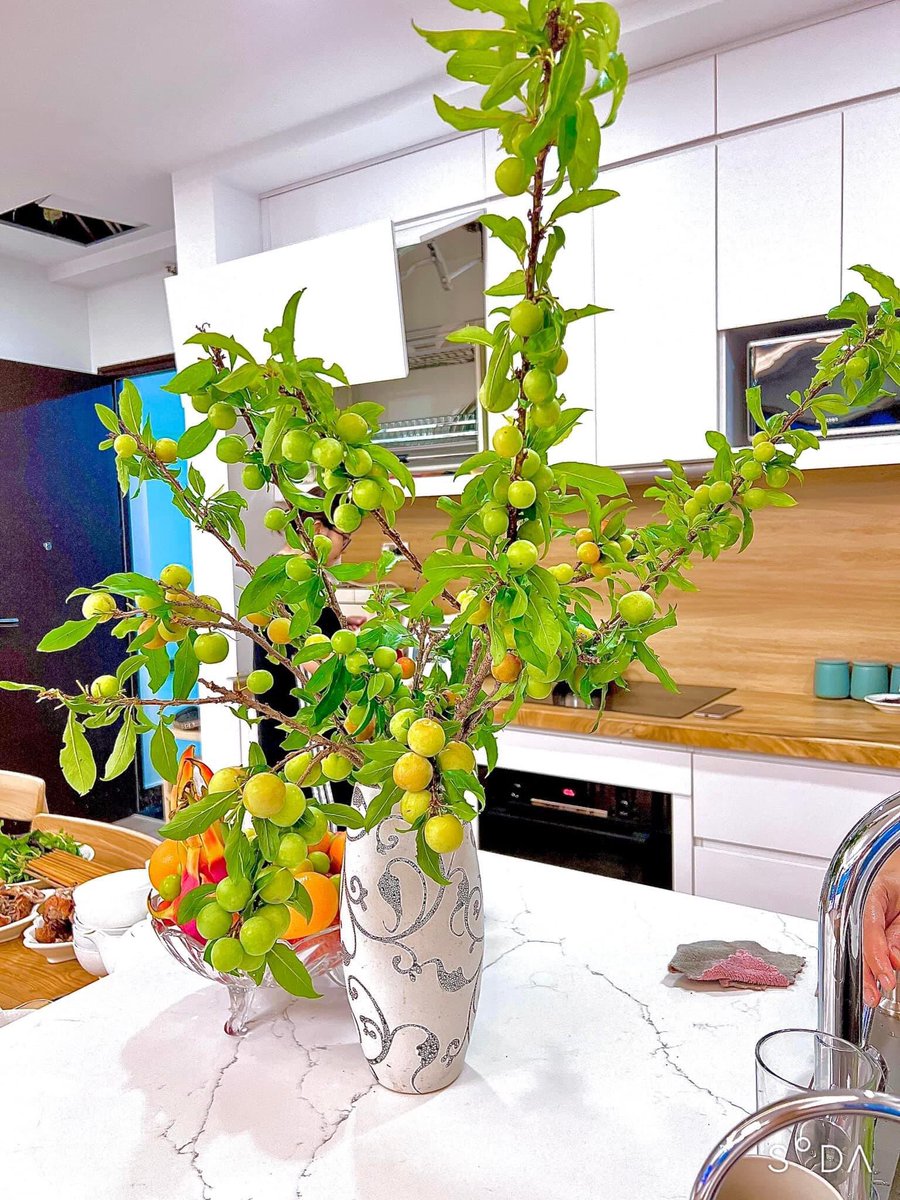 Anglie Le tweet media