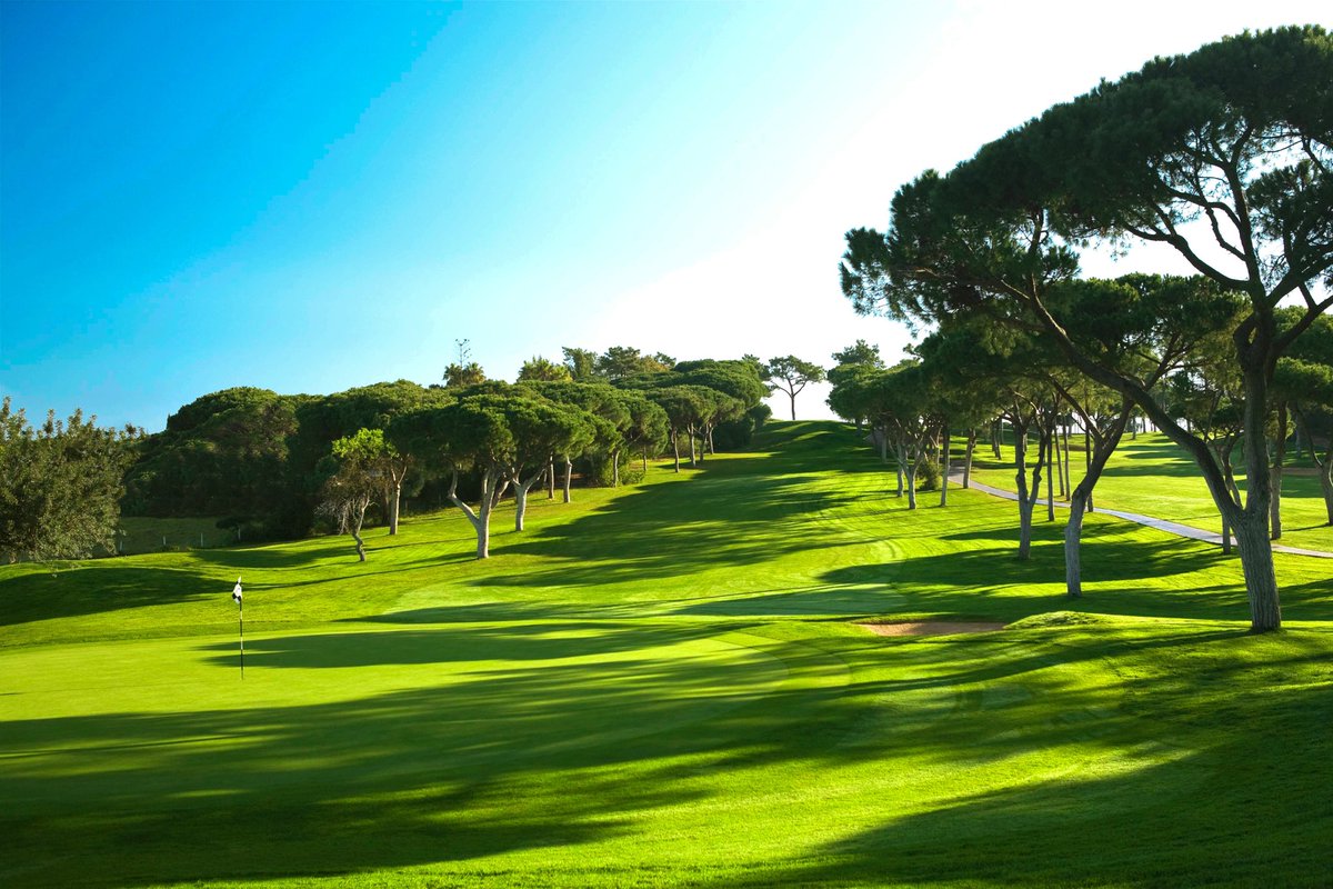 Who’s making it on the green on this amazing par 3 at Dom Pedro Old Course. ⛳️🏌🏼‍♂️ #DomPedroGolf