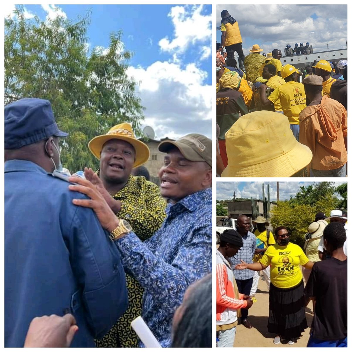 SHANDUKO tweet media