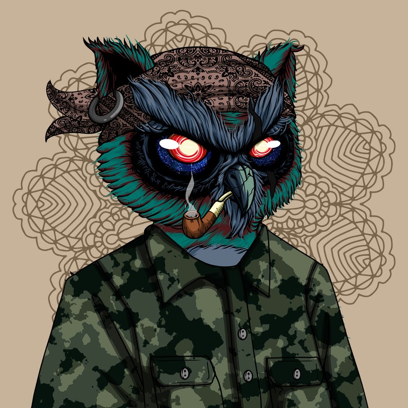 Steady Plodding tweet media