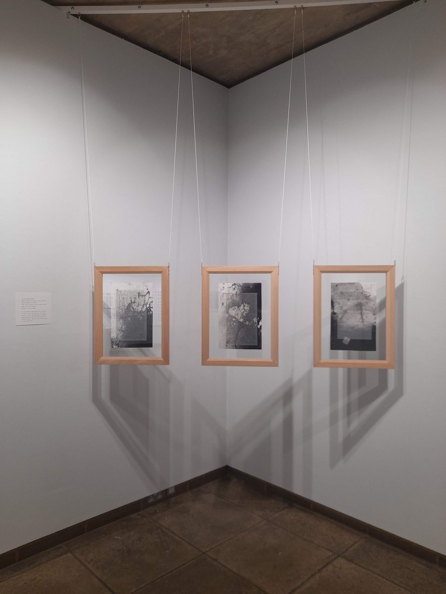 TheNorthWall's tweet photo. Opening today for @OxonArtweeks: @ImogenRigden's #WildernessBewilderness celebrates a renewed appreciation of our natural world following the 2020 lockdown. Featuring paintings, drawings and three-dimensional works: https://t.co/7l6oCIwnhE https://t.co/kcX8Ocvnut