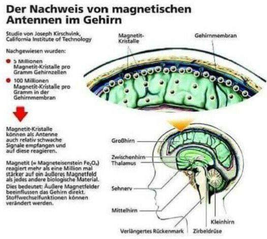 earnetic tweet picture