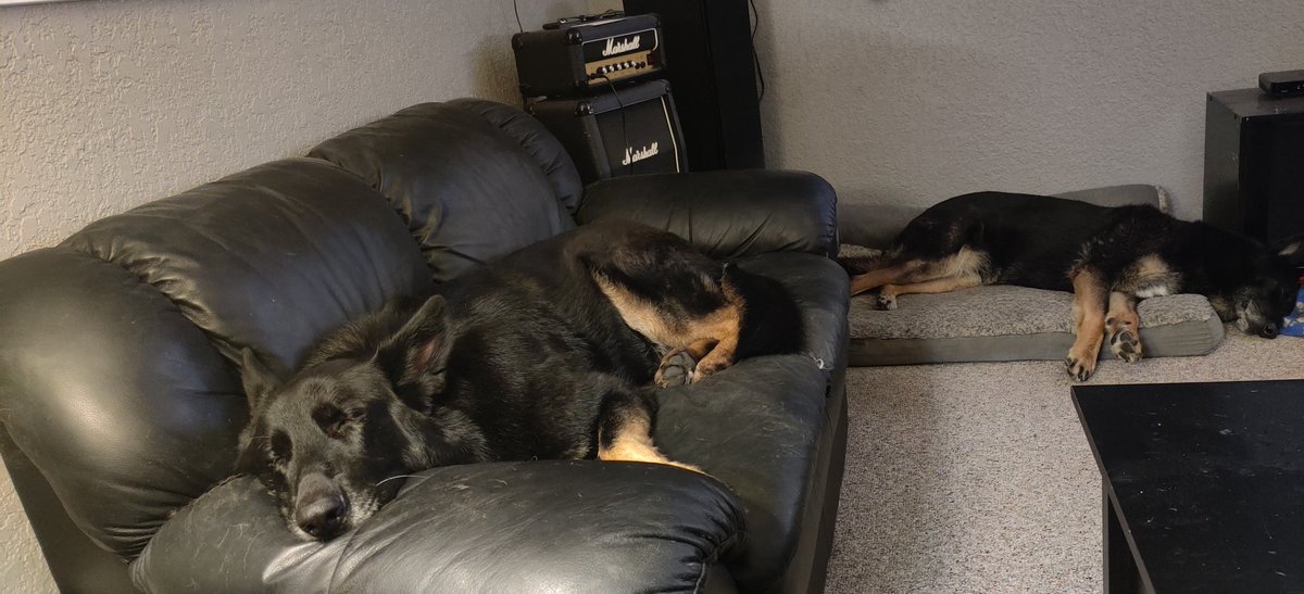 bwells888's tweet photo. Great day.. 11k steps for me probably 40k for them.. 😂🤣❤️❤️😎#gsd #gsdofinstagram #gsdpups #gsdlove #gsdbestfriends  #blackandtan #gsdladventures #dogsofinstagram #oneplus #oneplusphotography #oneplusportraitmode #hex #pls #plsx #ll #mint #imd #bskr https://t.co/qRXRMmxC51