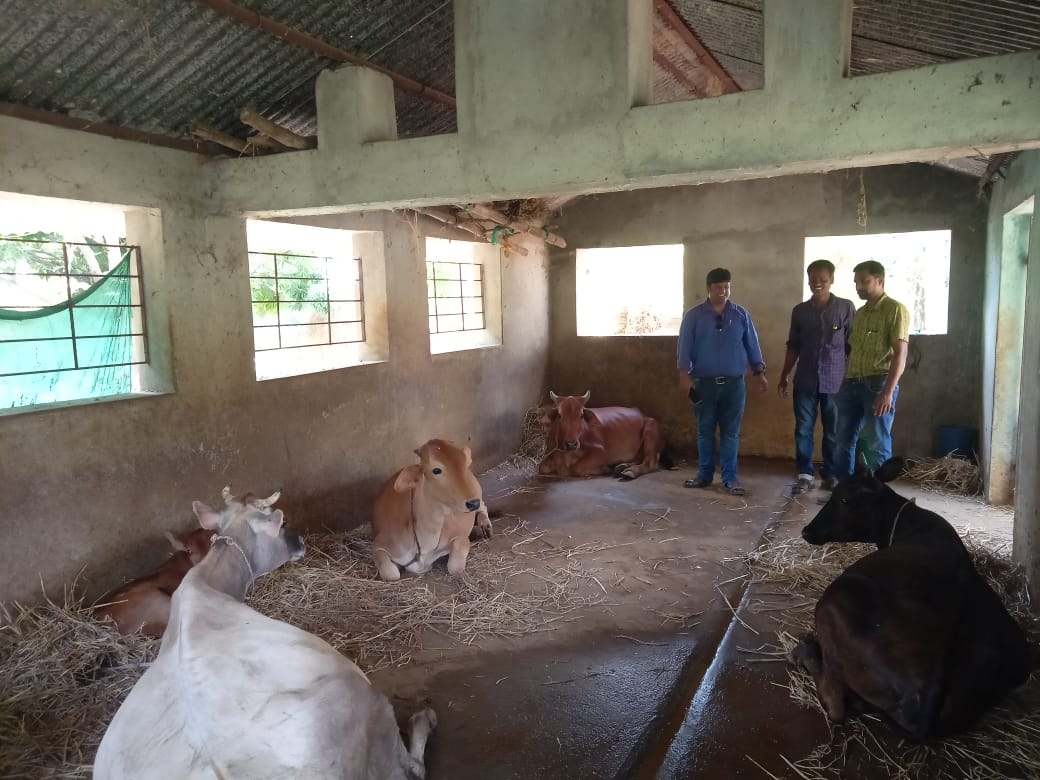 DrNiharRanjanS3's tweet photo. Animal health camp  in block Jagannathprasad ,dist-Ganjam under KVK Bhanjanagar https://t.co/kLw3slrk5u