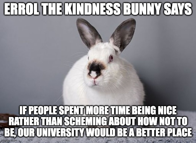 AngrierBadger's tweet photo. more office wisdom from my brother from another species, errol the kindness bunny. #carrotsnotsticks https://t.co/eziZgW52Ux