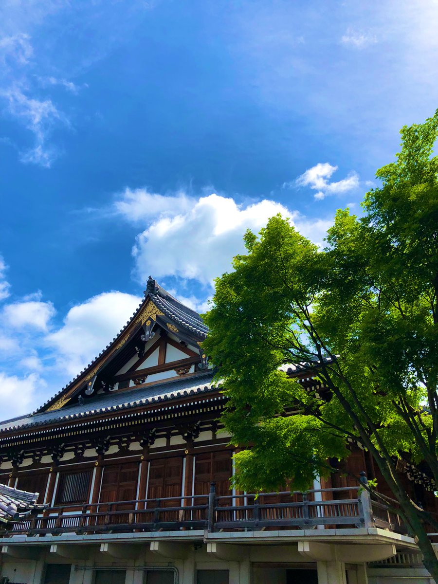 denzuinn's tweet photo. GW初日、いかがお過ごしでしょうか。
新緑が眩しい良い季節となりました。 https://t.co/ZE6VYwfKue