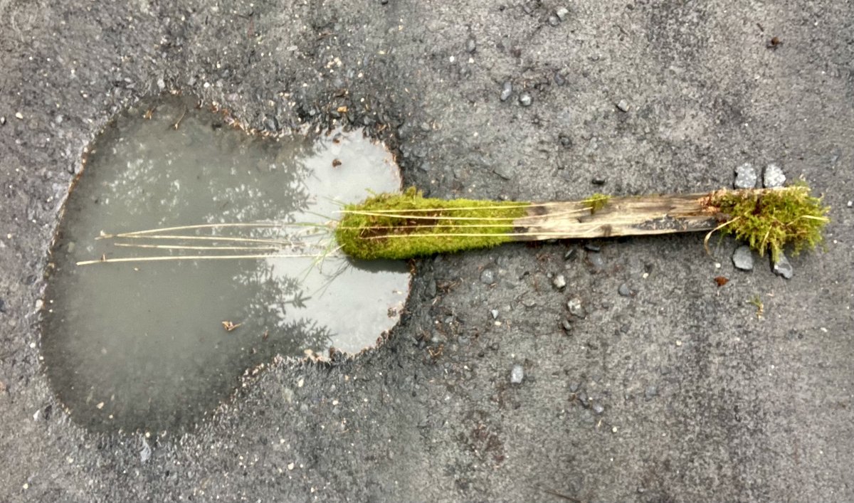 Found while walking in Snowdonia over the weekend.  Uke can be sure something will remind me I'm back at work on Tuesday!