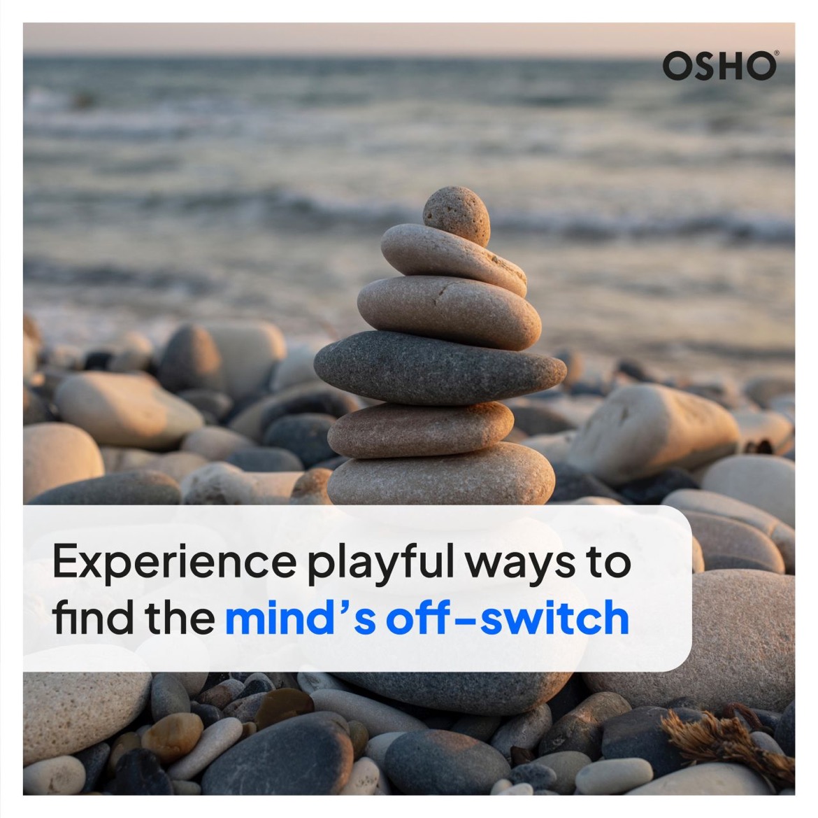 OSHO's tweet photo. Experience playful ways to find the mind’s off- switch
We have a solution for you! Reserve the spot for yourself now at https://t.co/S5f5FKGtnw 

#osho #mind #quietenthemind #playfulness #oshocourses #overactivemind #peacefulmind #deprogram #silence https://t.co/nJ0dR5Byli