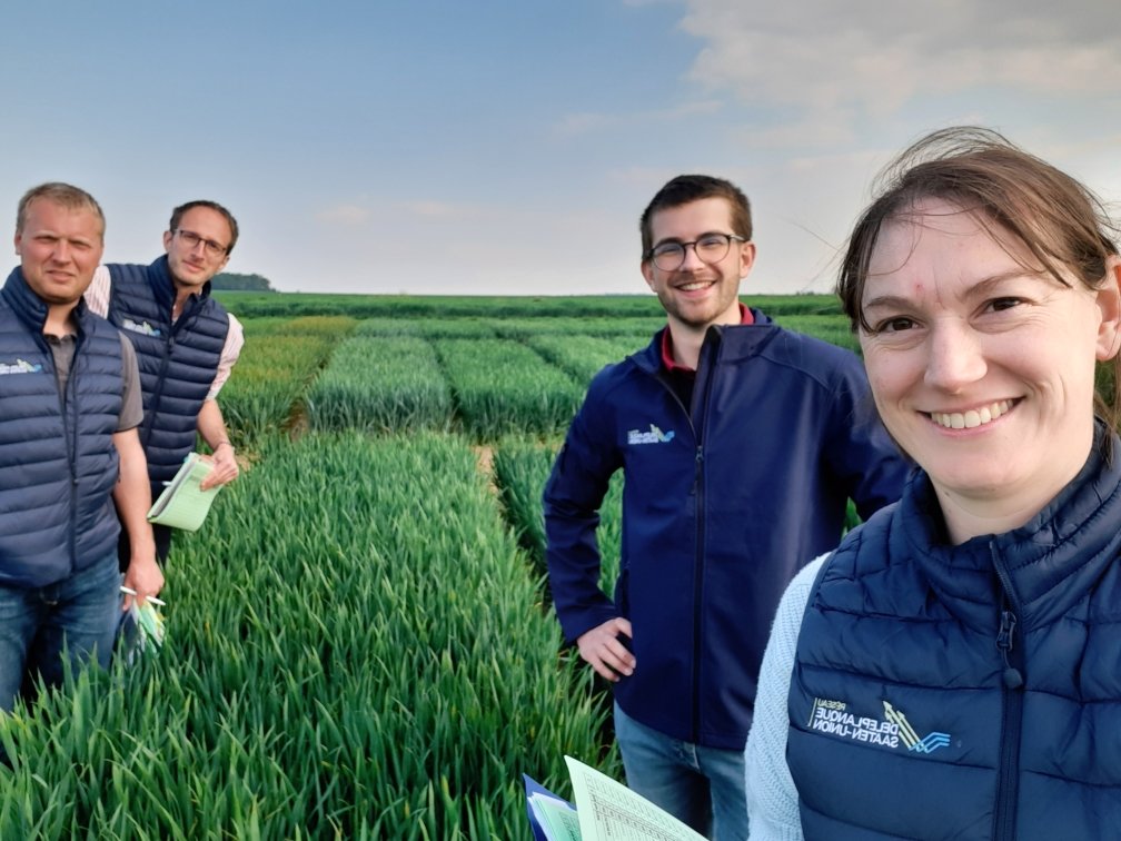 SaatenUnionFr's tweet photo. L'équipe #Agronomie et #Filières au complet pour observer les comportements de nos variétés face aux maladies.

✅ RAS pour Chevignon et SU Addiction sur cet essai de l'Oise ! 👇

#CeuxQuiFontLesEssais https://t.co/zETdFiYJeg