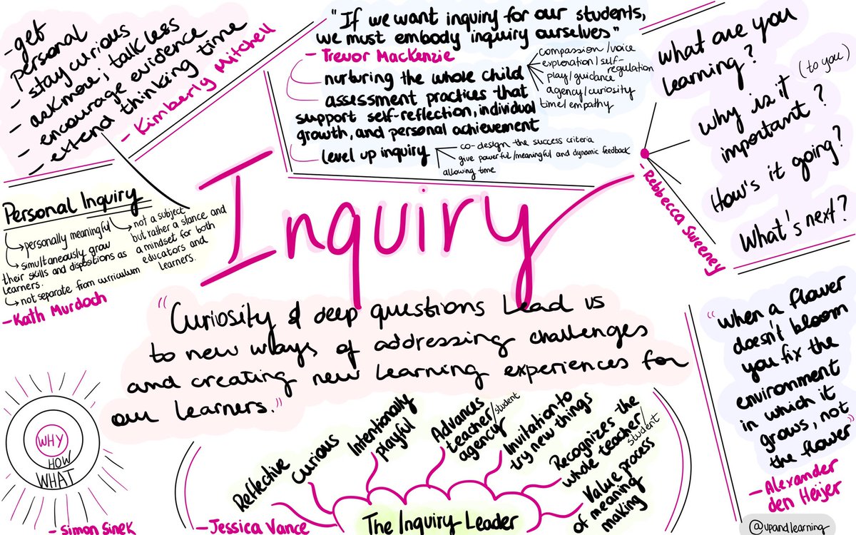 Rebecca Vasconcelos tweet media