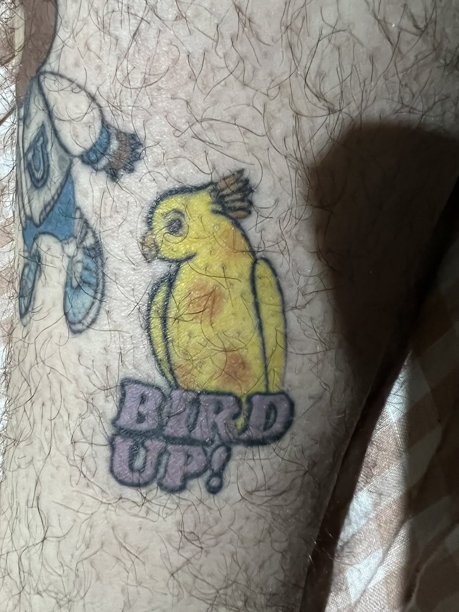botwit0's tweet photo. I got this tattoo because I love @ericandre lol #birdup #tattootuesdays https://t.co/QeRuiGFveH