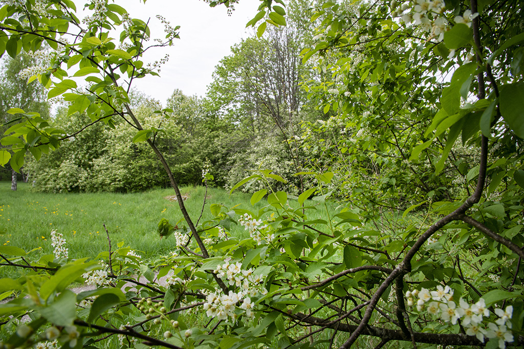 Kuntien näkemyksiä luonnon monimuotoisuusstrategiasta kaivataan! Tervetuloa keskiviikkona 25.5. klo 9:00 kuntien ja alueiden asiantuntijoille suunnattuun työpajaan keskustelemaan kansallisesta luonnon monimuotoisuusstrategiasta luontokunnat.fi/fi-FI/Ajankoht…