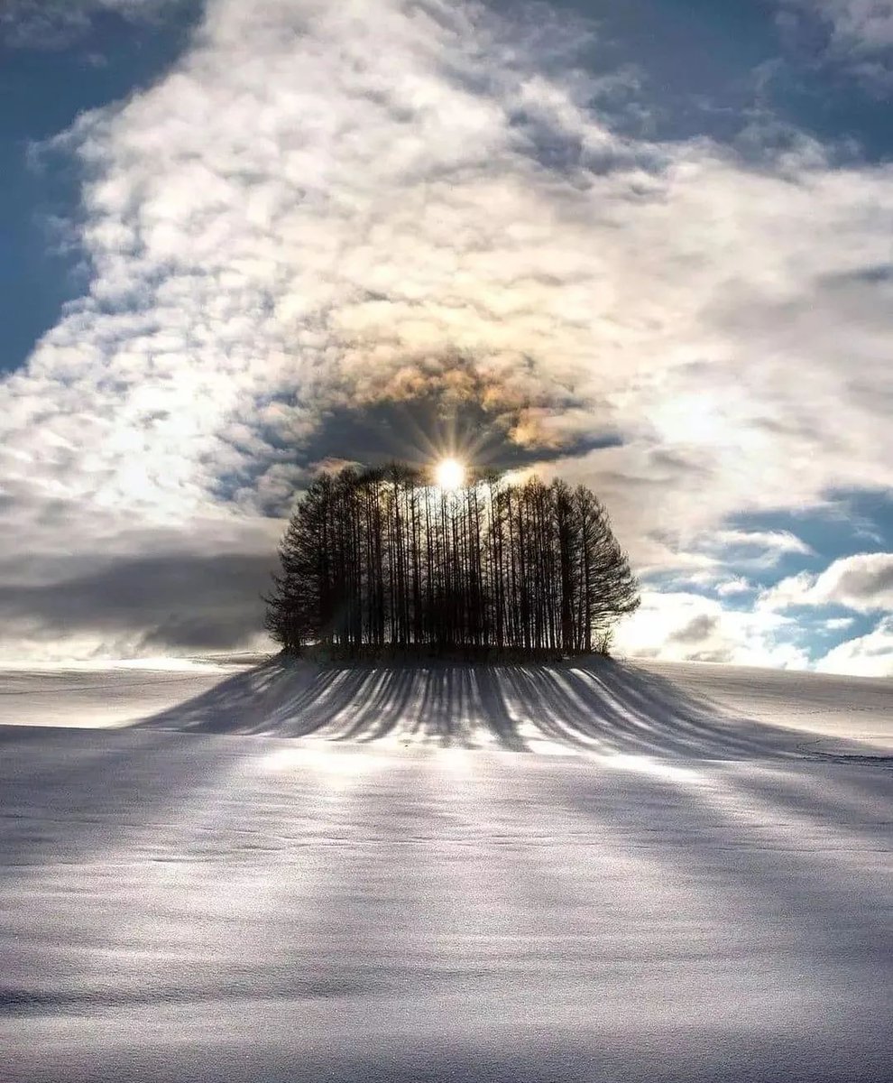 David88_01's tweet photo. #TuesdayMotivaton #tuesdayvibe #NaturePhotography #photo https://t.co/52kAhHO3XS