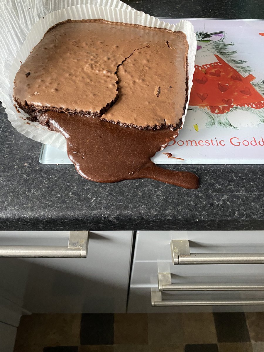 julieannelowe1's tweet photo. Turns out you can’t make brownies in a 10 in 1air fryer🤦♀️🤦♀️#bakingdisaster #nobrowniesforcoffeemorning https://t.co/coBxKBsOiL