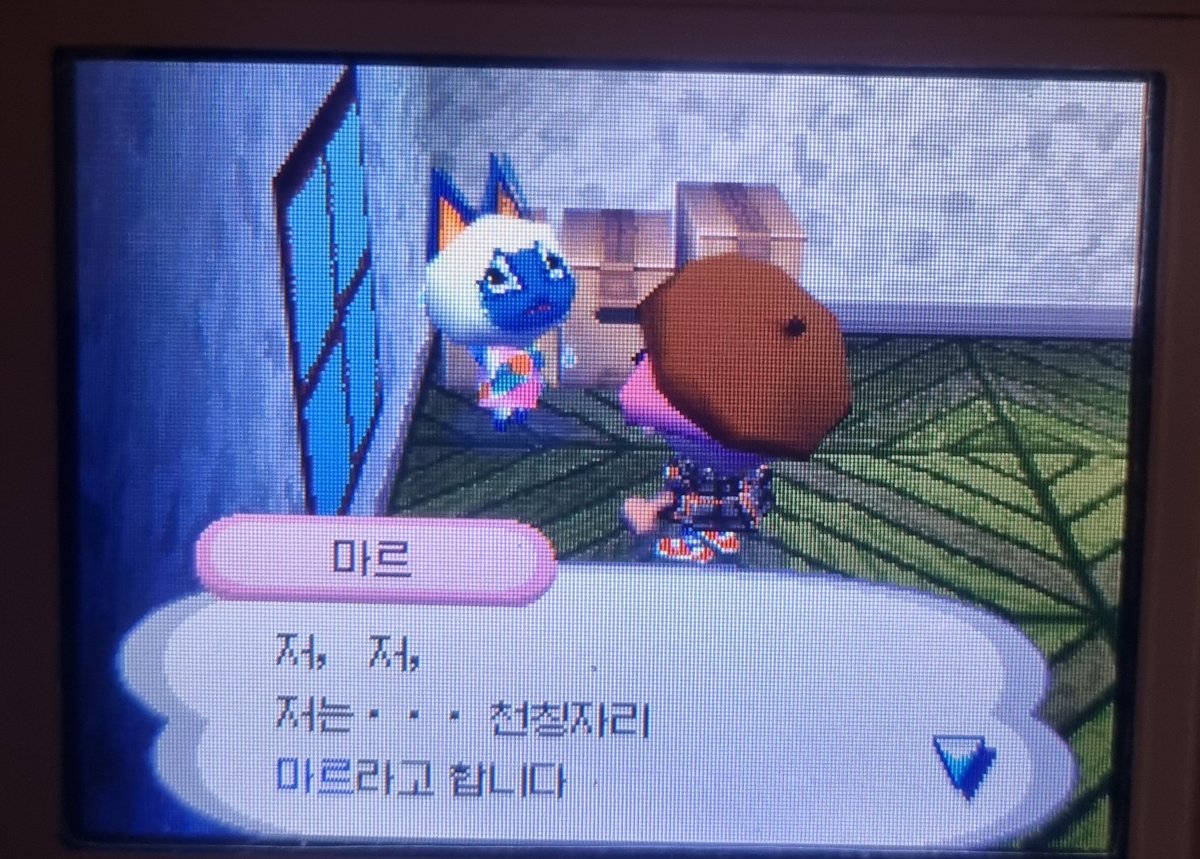 mo_mo_zzang's tweet photo. 220522

그리미 이사갔다...
그리고 이사 온 마르...
마르야 담엔.. 꼭 히죽이 데리고 와라 https://t.co/5uU6v6vNPb