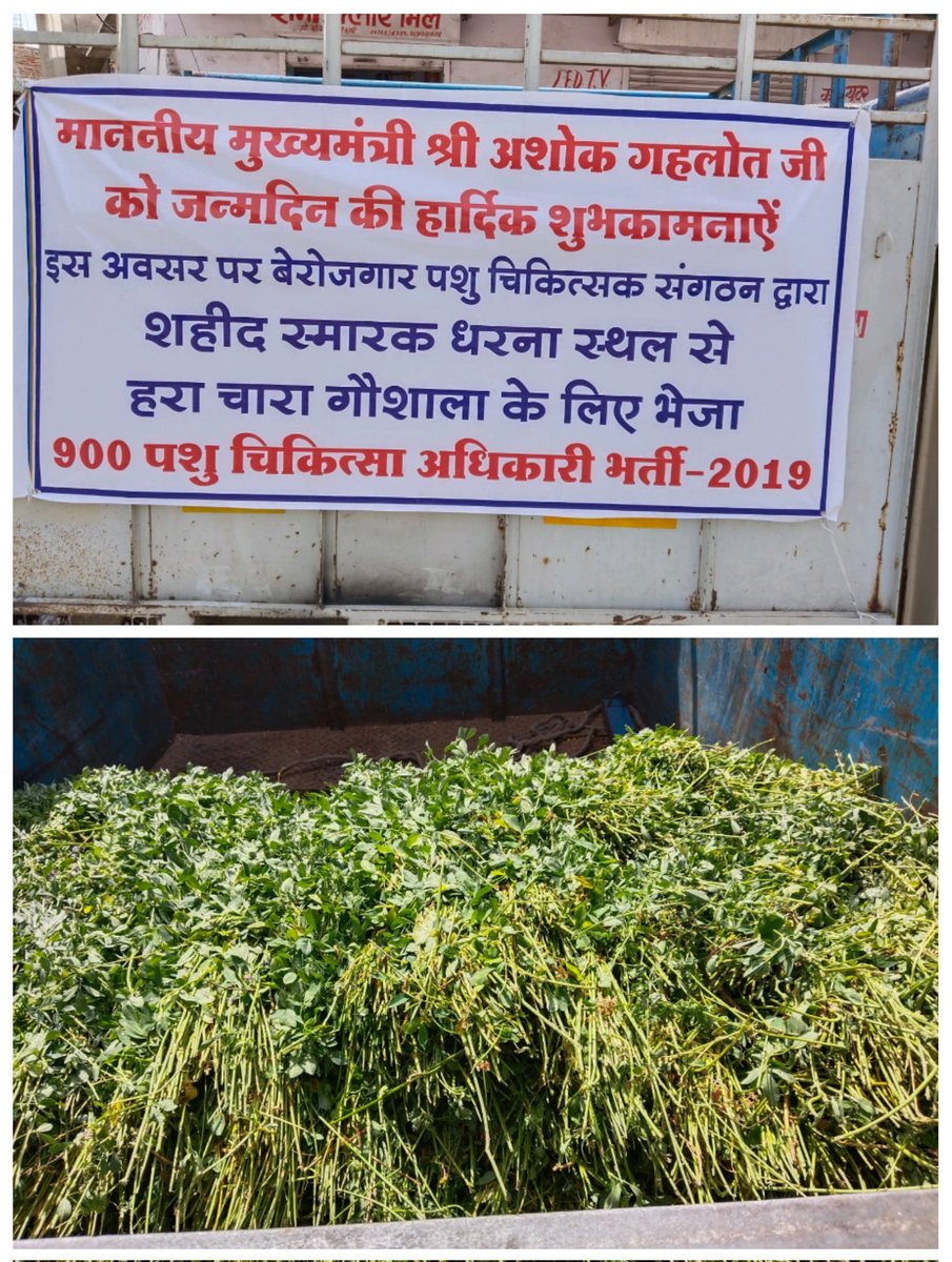 <a href="/KatariaLalchand/">Lalchand Kataria</a> <a href="/ashokgehlot51/">Ashok Gehlot</a> #पशुचिकित्साअधिकारीभर्ती2019