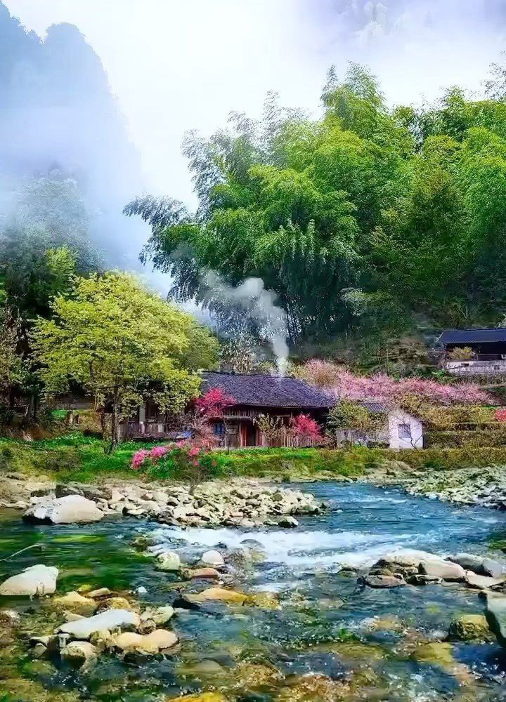 Chohanpak1's tweet image. #villagelife