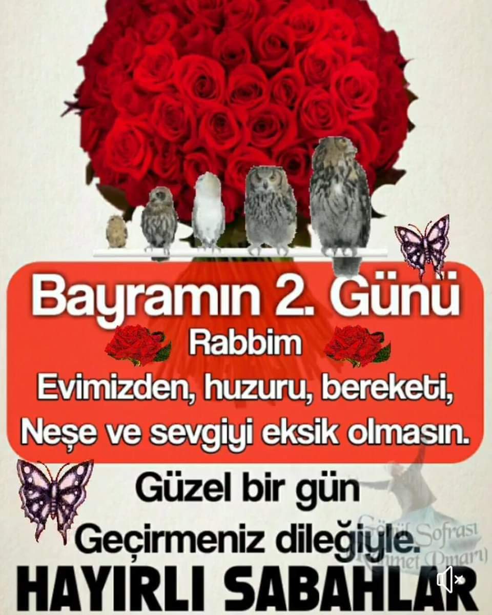 m 4 d E n L i (@madenlidogan) on Twitter photo 