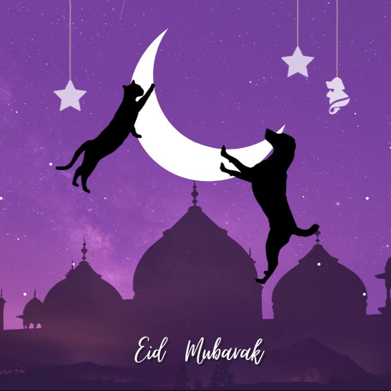 furrfolks's tweet photo. Eid Mubarak
On the occasion of Eid Ul Fitr our team is here to wish you and also pass on a message for our Beautiful souls.

May God be with you and may you see God in every other soul ❤️ https://t.co/ABhRLcMeC1