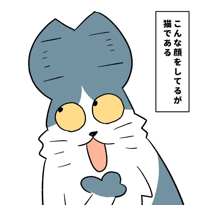 #本ミリバール
衝撃の事実の猫です 