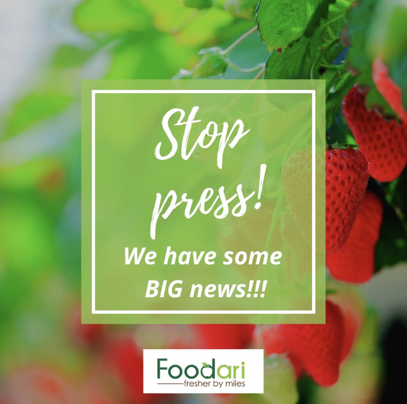 Foodari's tweet image. Stop press! We have some BIG news!

Foodari has received a Royal Warrant!!
 
Head over to foodari.com/post/stop-pres… to read more!💚

#foodies #passion #extramile #foodari #notyourordinary #helpkentbuylocal #thefoodariway #perfectpartnerships #dreamteam #foodarifamily