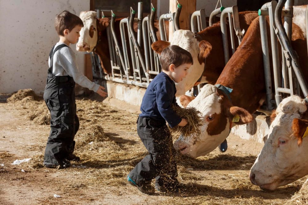 NewInZurich's tweet photo. How about getting away from it all on a #farm #holiday with #Roterhahn in #SouthTyrol in #Italy? A rural idyll and a fabulous experience for all the family. Find out all about these #farmstays here: https://t.co/KKV2ZqhSKE 
@gretzcom #travel #holidaysinnature #backtonature https://t.co/lgTA6pSJW4