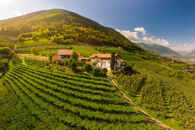 NewInZurich's tweet photo. How about getting away from it all on a #farm #holiday with #Roterhahn in #SouthTyrol in #Italy? A rural idyll and a fabulous experience for all the family. Find out all about these #farmstays here: https://t.co/KKV2ZqhSKE 
@gretzcom #travel #holidaysinnature #backtonature https://t.co/lgTA6pSJW4