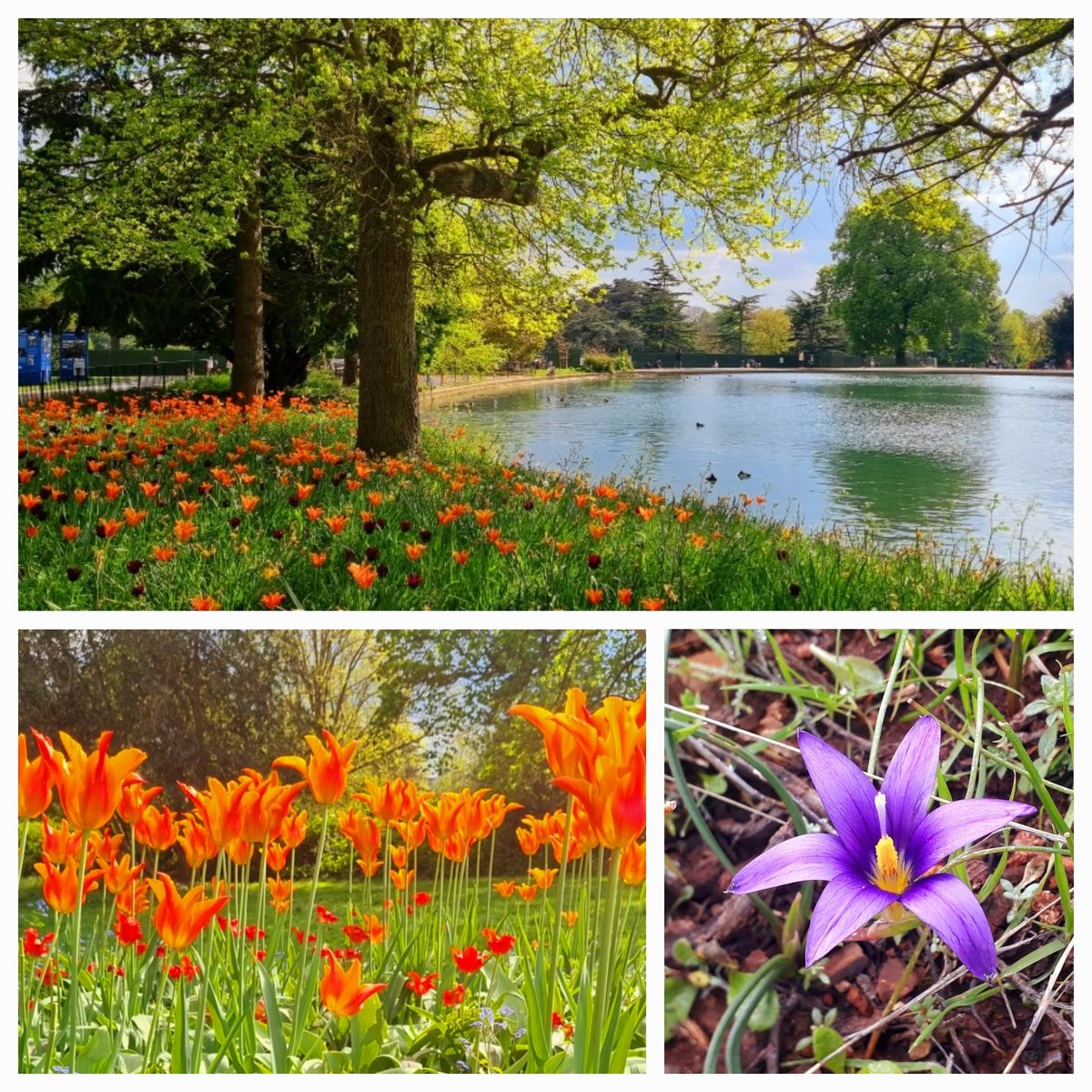 <a href="/Angelic49321092/">♦️ ♦️ ANGELIC ♦️</a> Good morning 🌷Buenos Dìas my lovely Angelic, have a peaceful, healthy May