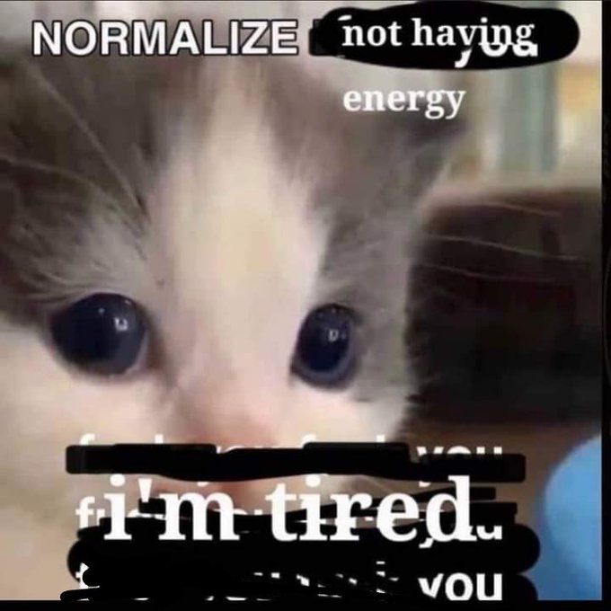 CatSaladTV's tweet photo. @meepeepbleep Me 24/7 https://t.co/xp9dwQoHXS