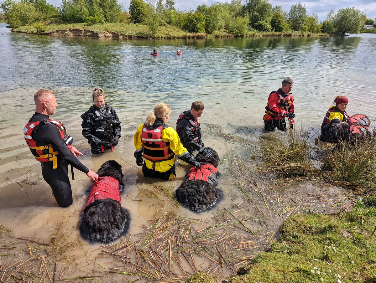 MiTEQ (@miteqsolutions) on Twitter photo Last week, MiTEQ teamed up with @Servelec_ to donate two new @Safequip_Ltd dry-suits to <a href="/petelewinnewfo1/">petelewinnewfoundlands</a> and his five Newfoundland pups.
Pete hosts wellness days for emergency service workers, people struggling with their mental health, and groups in search of a great day out. Last week, MiTEQ teamed up with @Servelec_ to donate two new @Safequip_Ltd dry-suits to <a href="/petelewinnewfo1/">petelewinnewfoundlands</a> and his five Newfoundland pups.
Pete hosts wellness days for emergency service workers, people struggling with their mental health, and groups in search of a great day out.