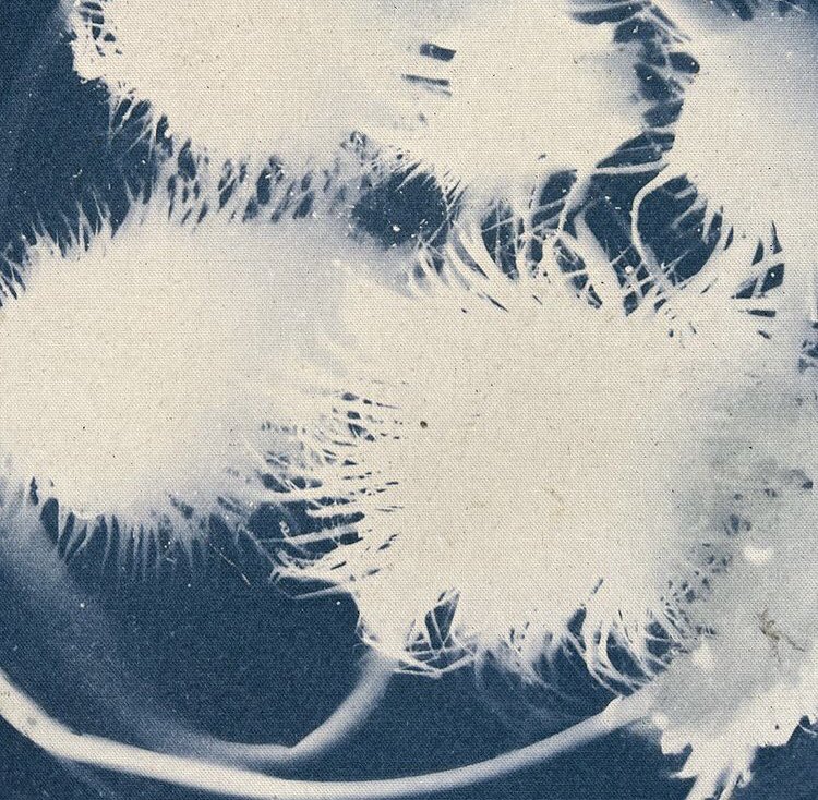 LeslieCRoberts's tweet photo. #Cyanotypes #ECOPOESIS 22 - solving towards #ClimateEmergency w/conversations + craft #positivehope. Jenny Odell was our best thought leader @the_jennitaur (Re)Imagining Time in the @presidiosf . #materialityofecologies #cyanotypes @jasonhickel @ArchEcoLab @CACollegeofArts https://t.co/8tXVH4S5Az