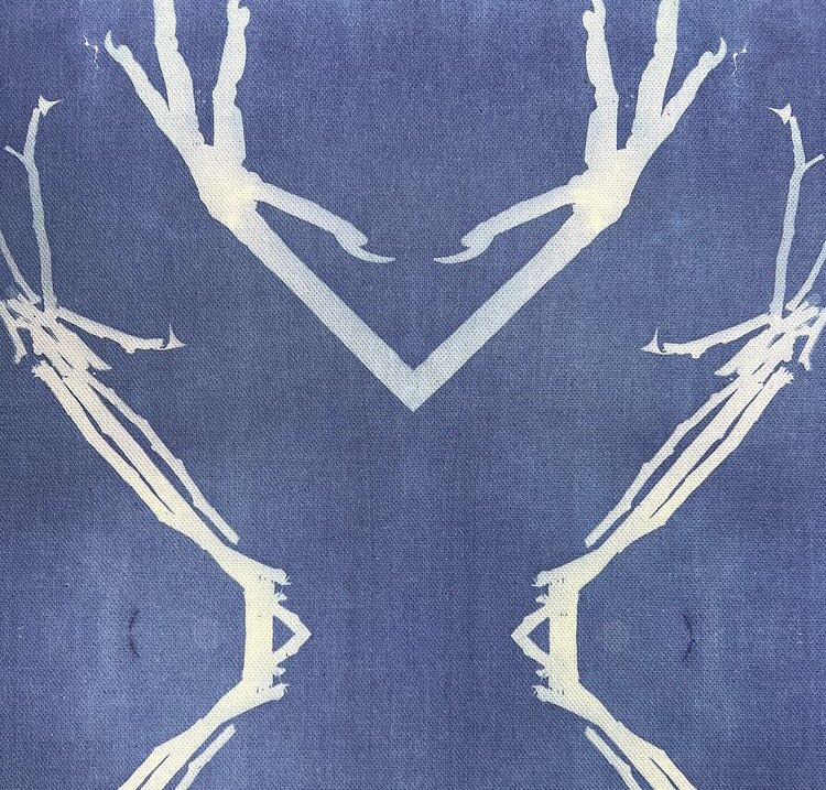 LeslieCRoberts's tweet photo. #Cyanotypes #ECOPOESIS 22 - solving towards #ClimateEmergency w/conversations + craft #positivehope. Jenny Odell was our best thought leader @the_jennitaur (Re)Imagining Time in the @presidiosf . #materialityofecologies #cyanotypes @jasonhickel @ArchEcoLab @CACollegeofArts https://t.co/8tXVH4S5Az