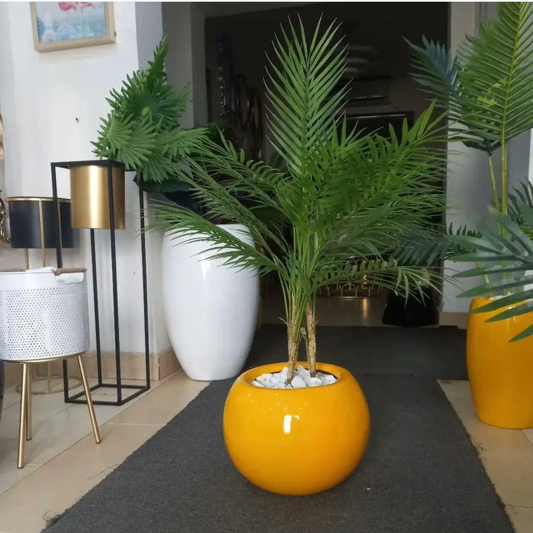 daveaims_ic's tweet photo. Make @aims_Concept your go to for flowers and plants, expect to get a very good delivery 🚚

Call our Hotlines now 09155804022, 07040757608 ☎️

 #interior #space  #architecture #homefinishersinportharcourt #flowerdeliveryinph  #flowerdecoratorsinRiversState #interiorshoppersinPH https://t.co/OYDZ0XnPgF