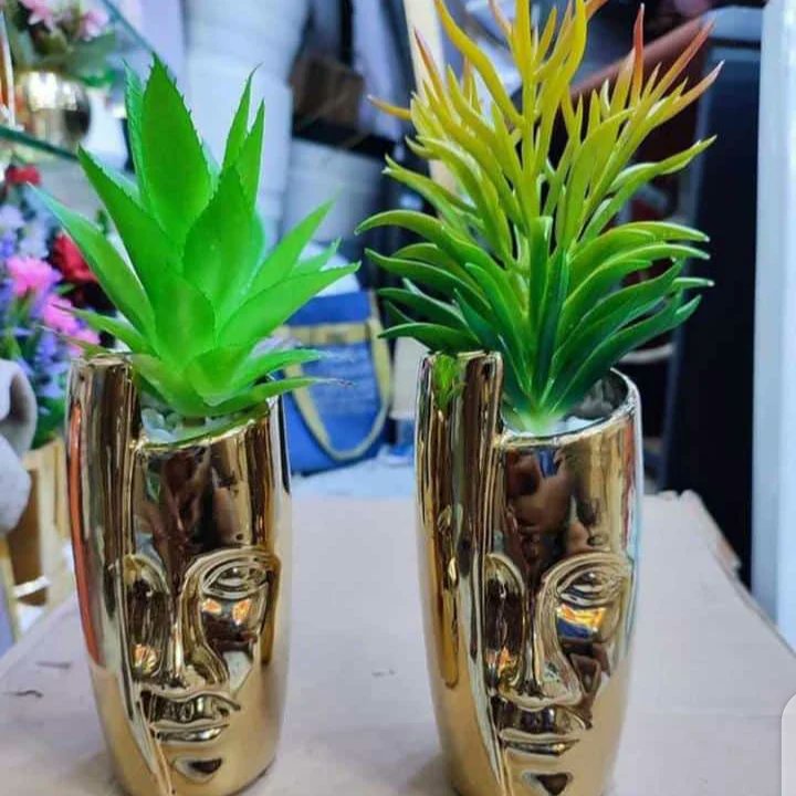 daveaims_ic's tweet photo. Make @aims_Concept your go to for flowers and plants, expect to get a very good delivery 🚚

Call our Hotlines now 09155804022, 07040757608 ☎️

 #interior #space  #architecture #homefinishersinportharcourt #flowerdeliveryinph  #flowerdecoratorsinRiversState #interiorshoppersinPH https://t.co/OYDZ0XnPgF