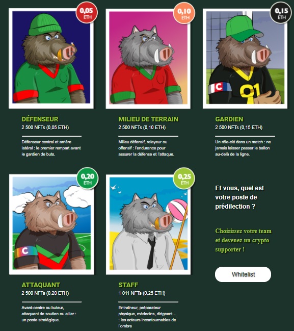 Sportimize's tweet image. 🐗 Le @_CSSA lance une collection NFT assez particulière, mais très réussie : Des sangliers ! 

📸 #CSSedan | #NFT