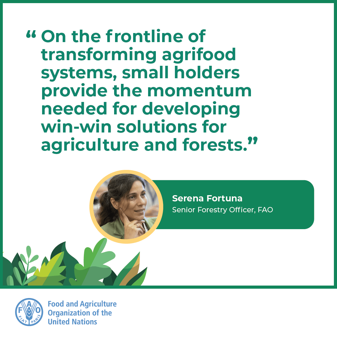 FAOForestry's tweet photo. "On the frontline of transforming agrifood systems, small holders provide the momentum needed for developing win-win solutions for agriculture and forests." @FAO's Serena Fortuna at #WFCKorea https://t.co/xfiXeqJCaC